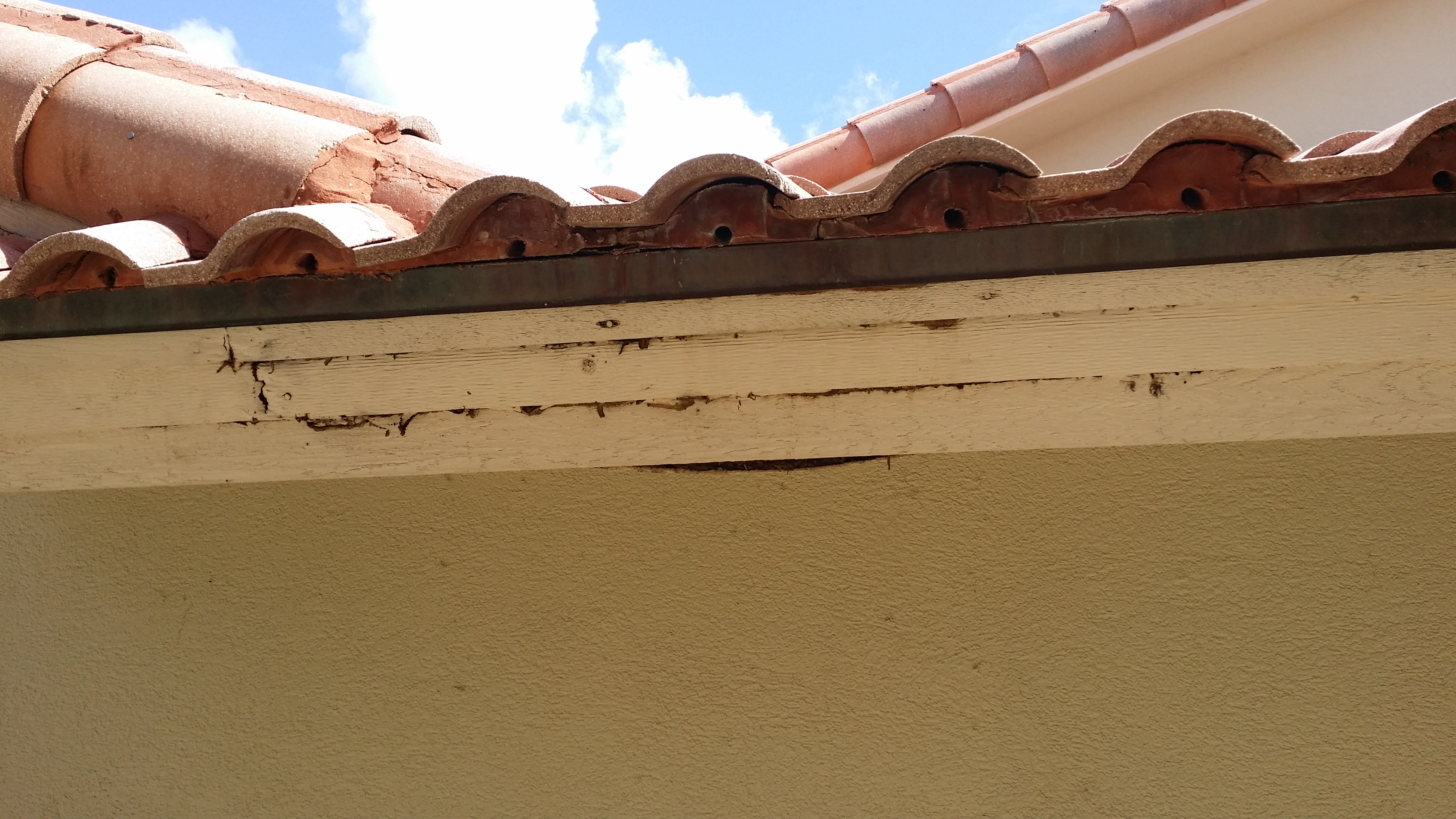 Rotted Fascia from Roof Leak